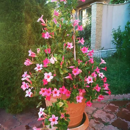 Complex Karia Iv Апартамент