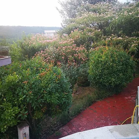 Complex Karia Iv Kavarna